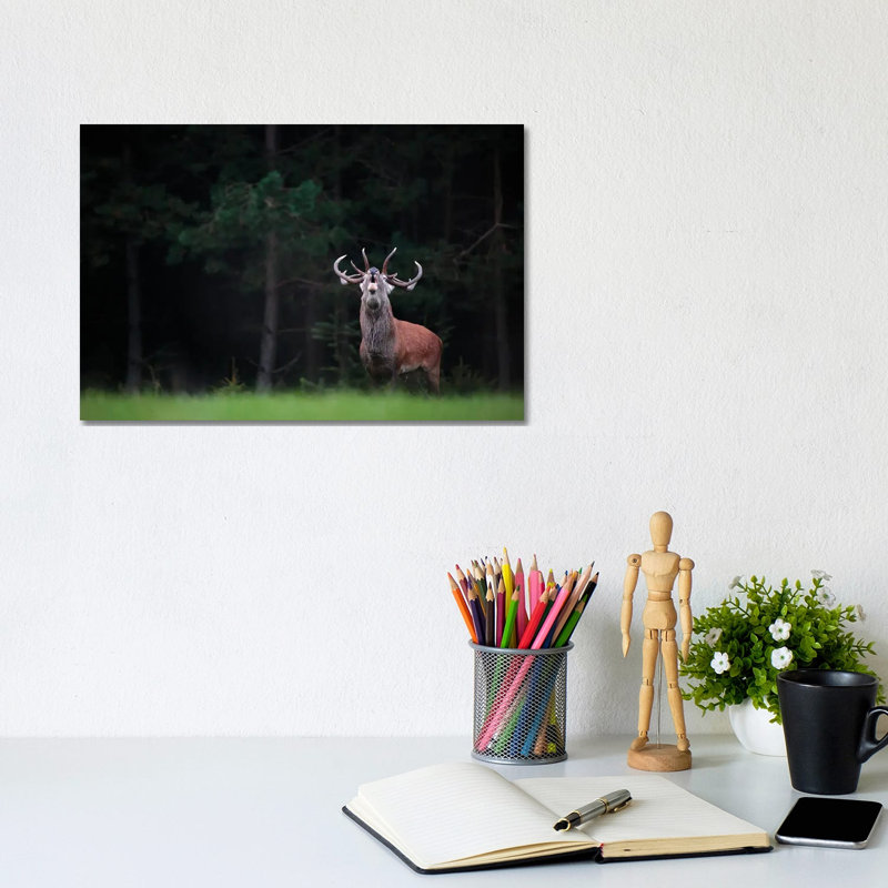 King Of The Forest by Mateusz Piesiak - Wrapped Canvas Print, 20.32 cm H x 30.48 cm W