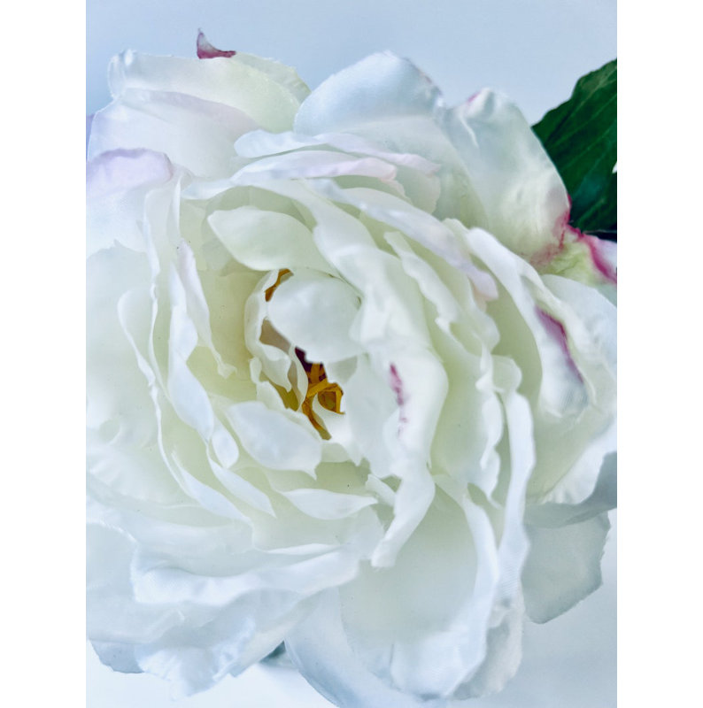 Peony Flower Arrangement in Glass Vase, White