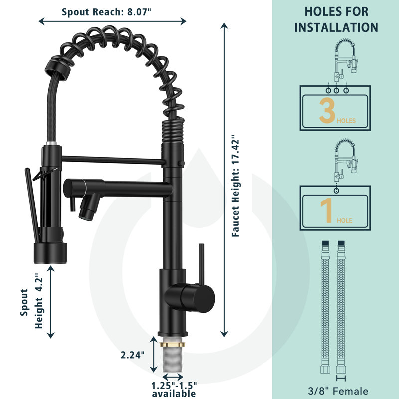 Pull Down Kitchen Faucet with Deck Plate, Black