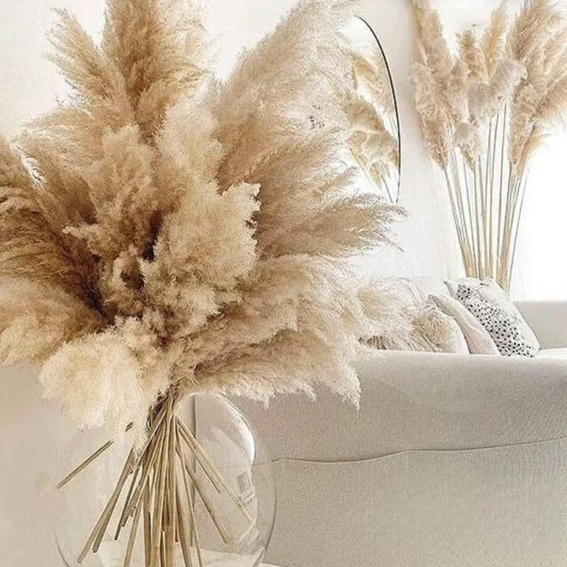 Grand tapis moelleux naturel One Stop Shop