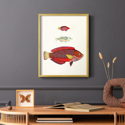 Colorful Tropical Fish II Framed Print - Solid Wood