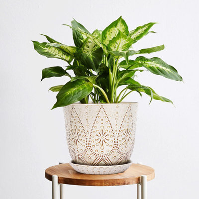 Ceramic Plant Pot with Drainage Holes and Saucers