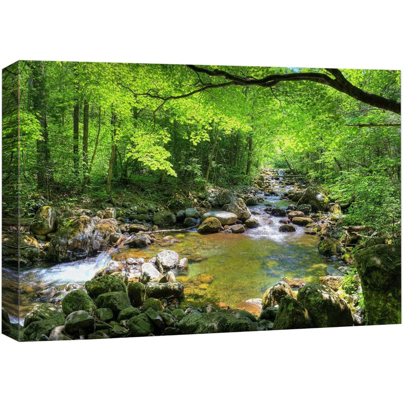 " River Through The Greenest Nature Colorful "