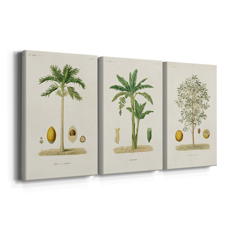 Arbre antique avec fruit II - Toile tendue avec châssis sur mesure - 3 pièces, H 27 po x l 54 po