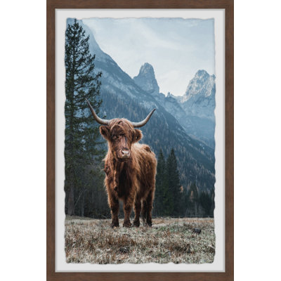 Grazing Cattle - Single Picture Frame Print