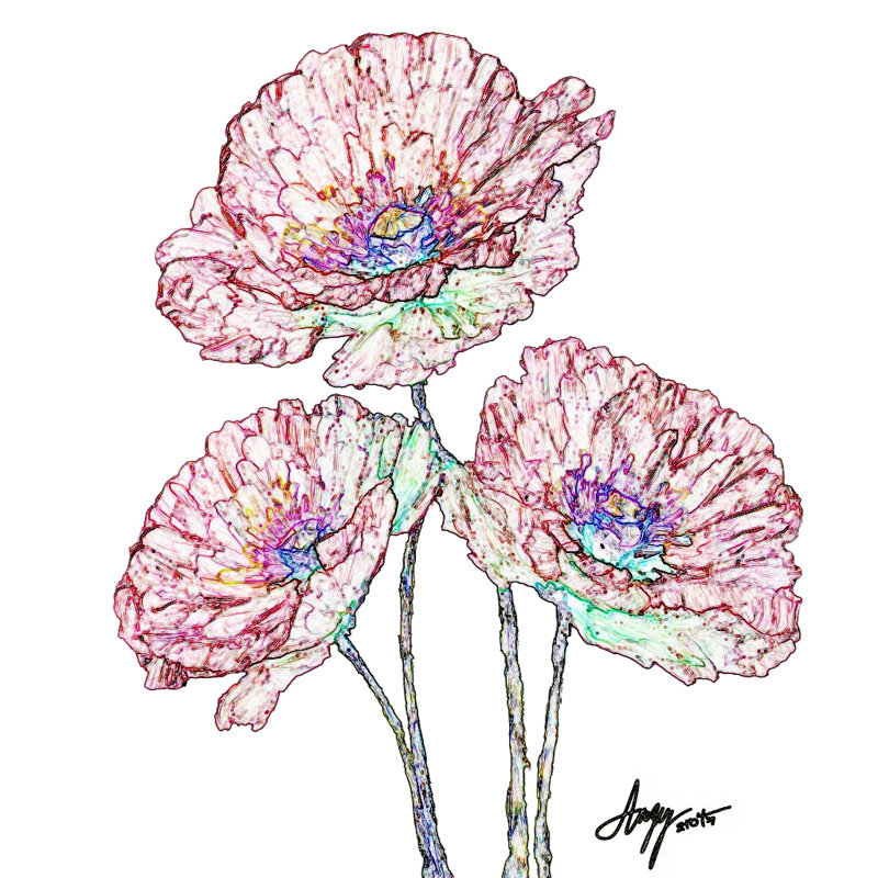 Art mural sur toile tendue Poppy Trio, L 12 po x H 12 po x P 1 po