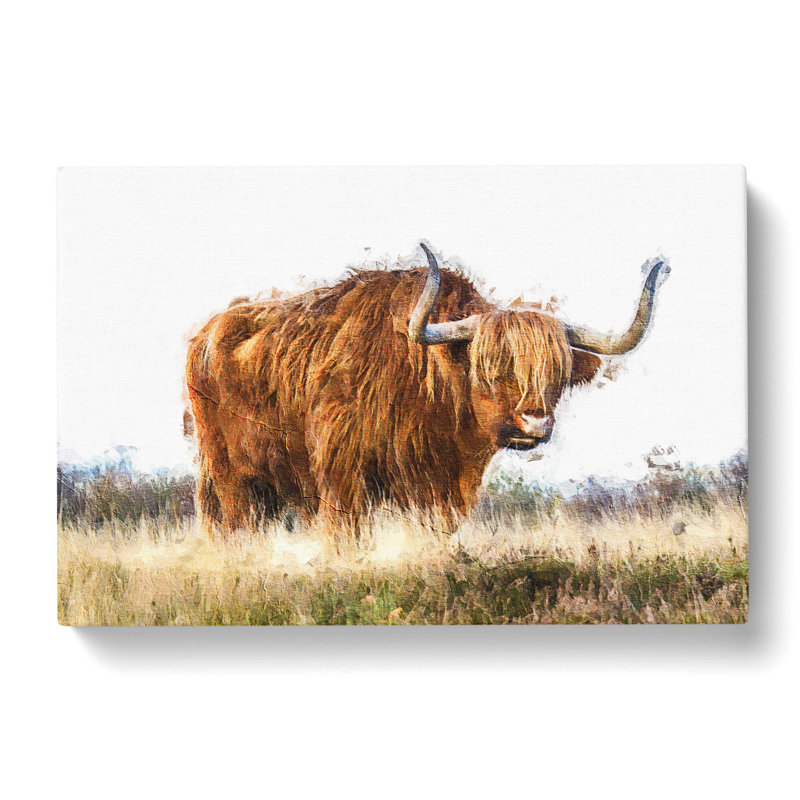 Majestic Highland Cow In Abstract - Wrapped Canvas Painting, 35cm H x 50cm W x 3cm D
