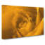 Golden Rose Flower In Abstract - Wrapped Canvas Print-55313069