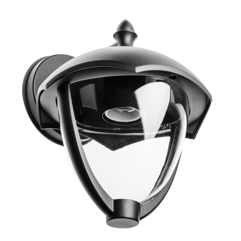Ruaraidh Black Outdoor Wall Lantern