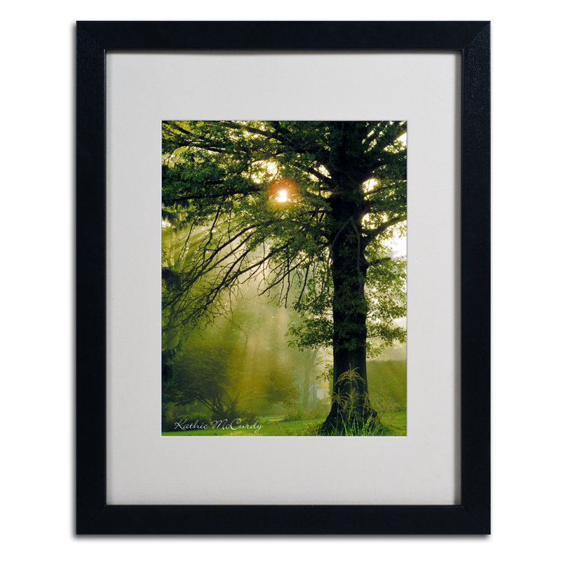 « magique tree » par kathie mccurdy,, reproduction de photo encadrée, Noir, H 14 po x l 11 po x P 0,5 po
