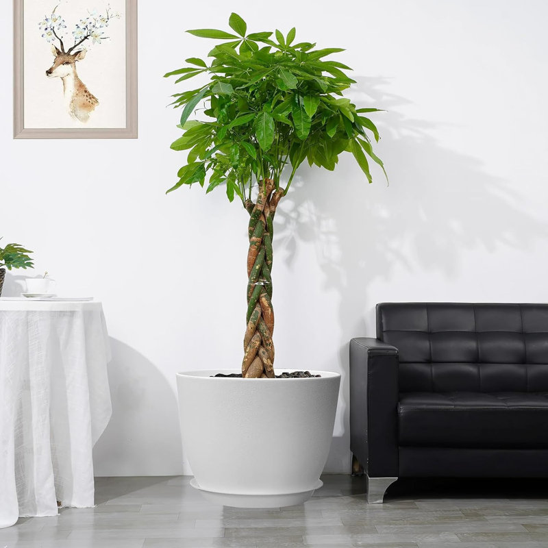 Pot en plastique blanc 12 "avec drainage et soucoupe