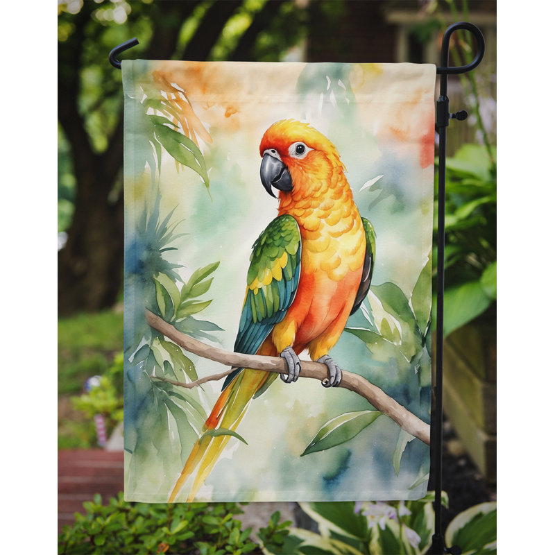 Drapeau de jardin, Conure soleil