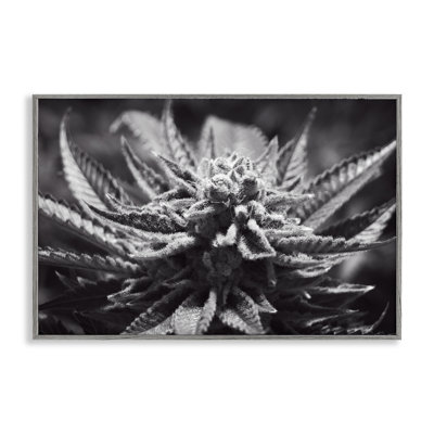 Art giclée monochrome de fleur de marihuana par LIH