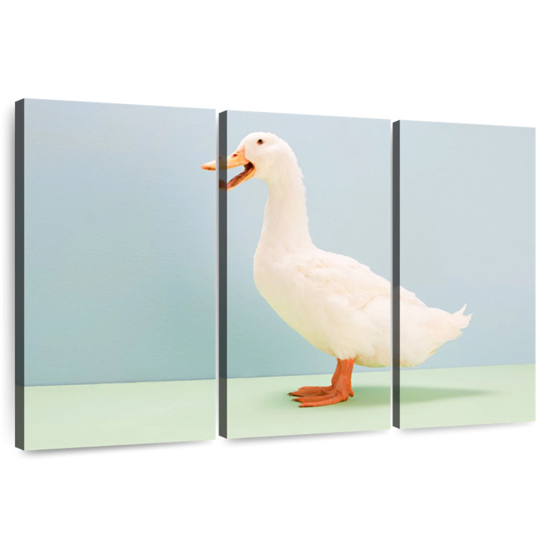 Brampt White Duck, 36" H x 57" W