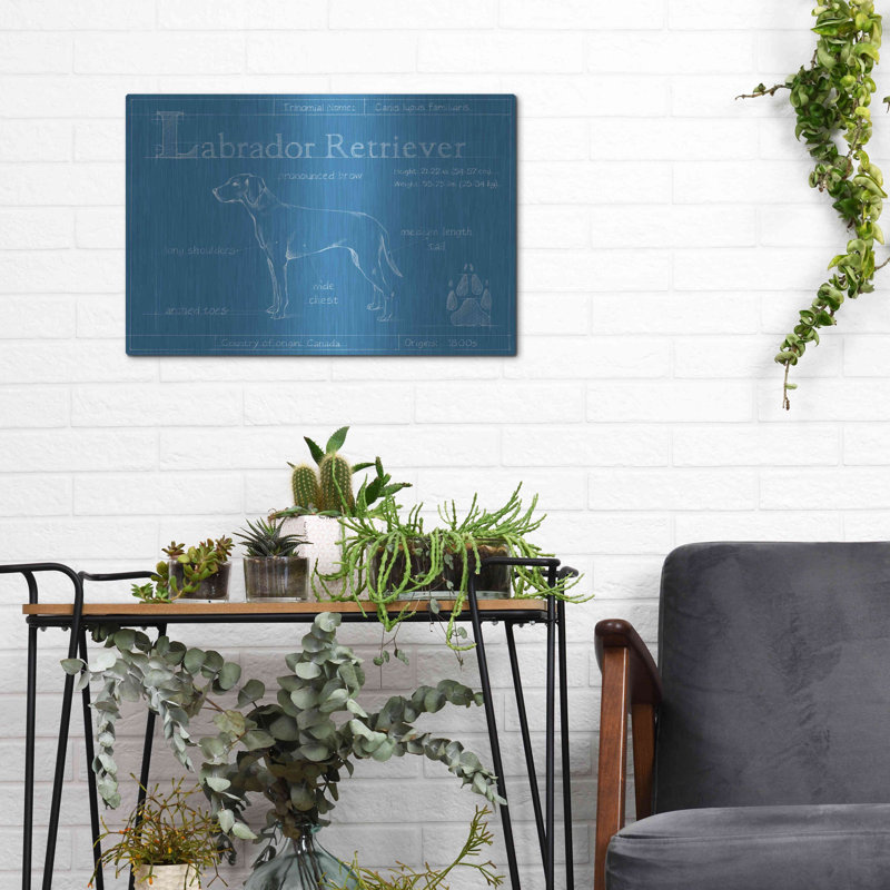 «Blueprint Labrador Retriever» par Ethan Harper, H 12 po x l 16 po