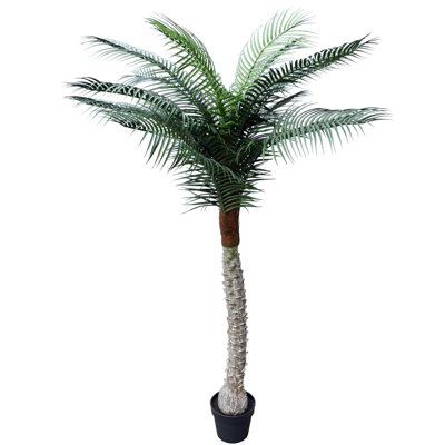 82'' Palm Tree in Pot