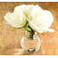 Roses dans un vase-1314474665