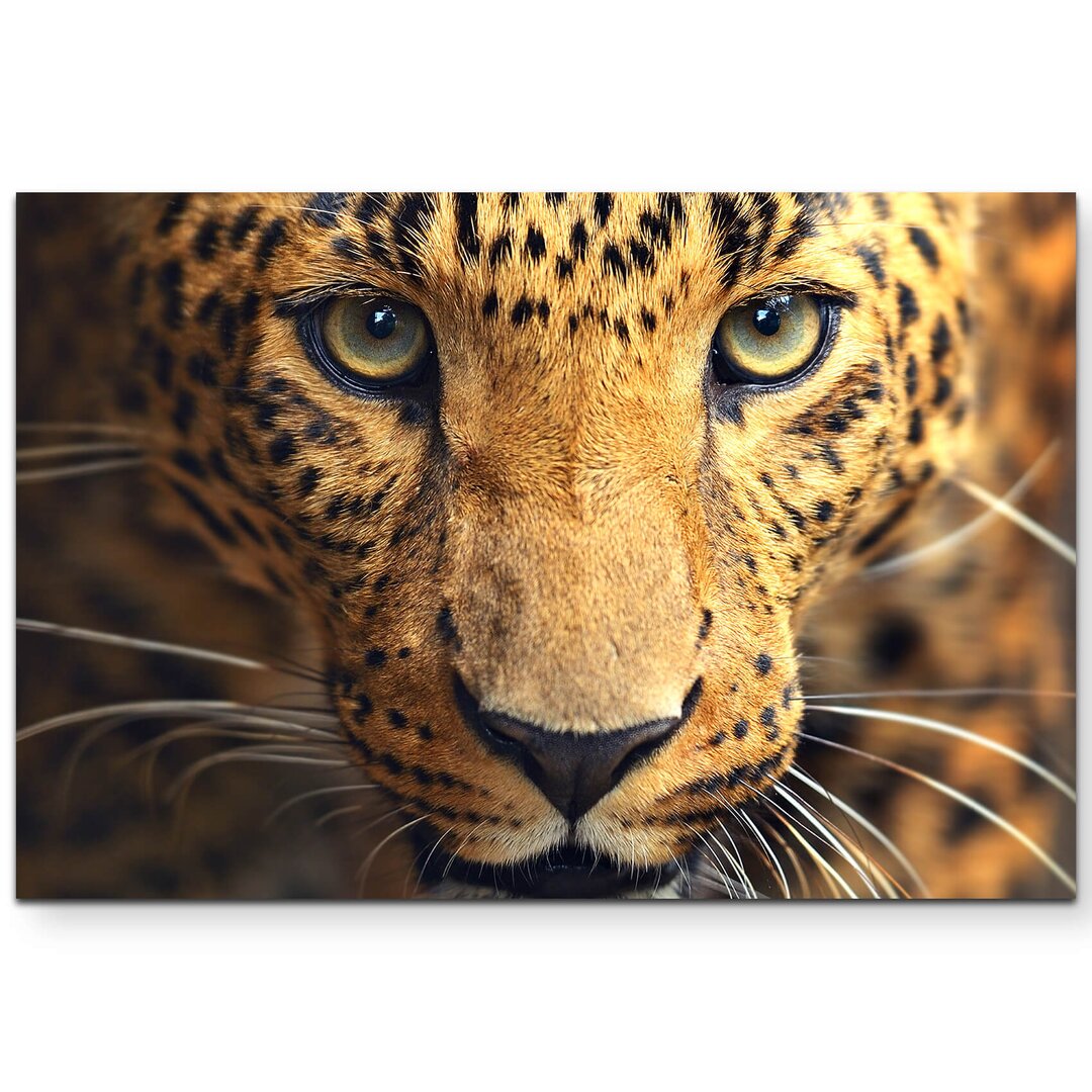 Leinwandbild Aufmerksamer Leopard – Portrait