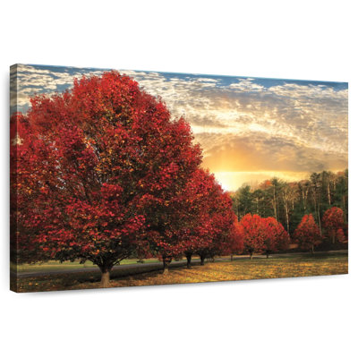 Arbres cramoisis Alvord