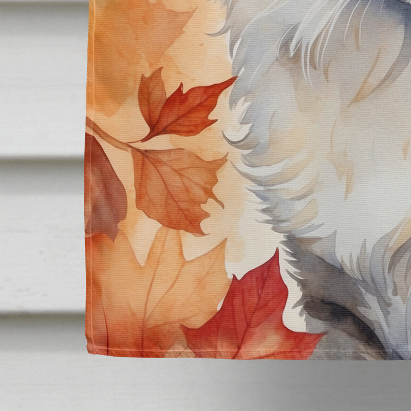 Chat en feuilles d'automne, American Curl