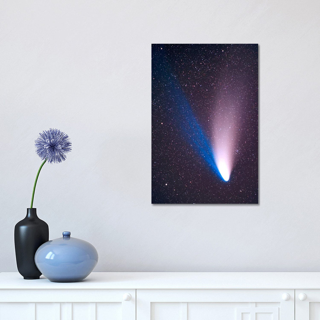 Comet Hale-Bopp, April 7, 1997 by Alan Dyer - Wrapped Canvas Print