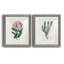 Protea N13 - ensemble de 2 impressions-907358561-907358572