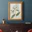 Toile encadrée de qualité supérieure Antique Botanical Collection-463191983