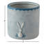 Seann Ceramic Pot Planter - Set of 2