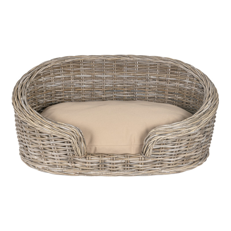 Lit pour chien en rotin Curvy tissé à la main avec coussin lavable à la machine, H 16 po x l 33 po x P 21,25 po, Gris