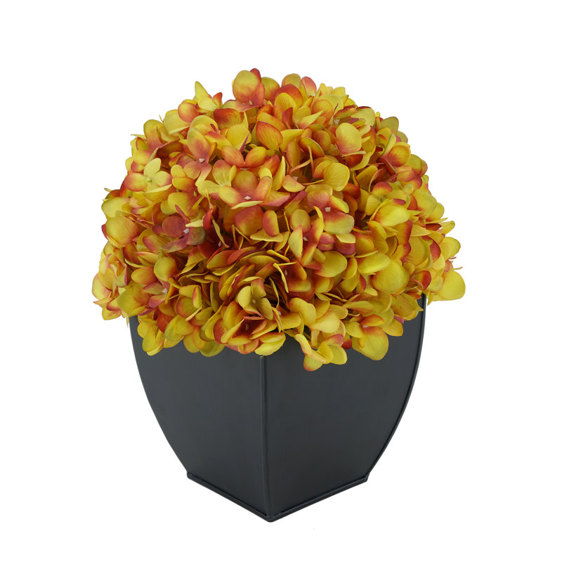 Arrangement floral hortensia en pot, Or