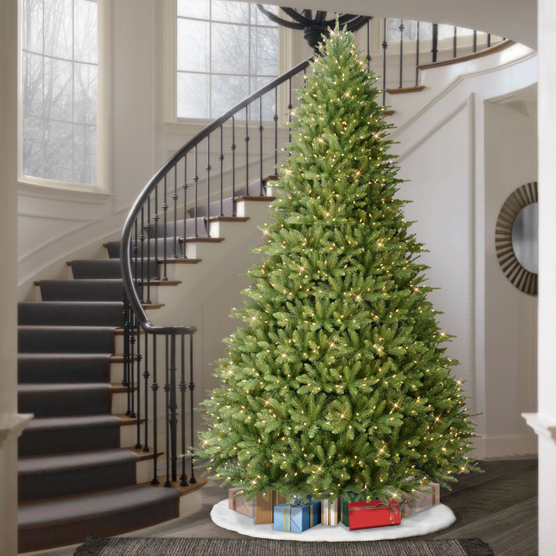 Lighted Artificial Fir Christmas Tree, 10' H