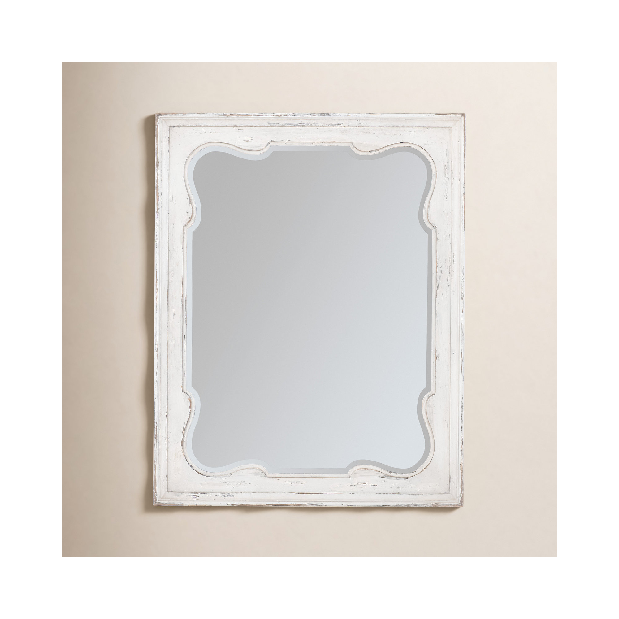 Alcy Rectangle Accent Mirror, Daisy