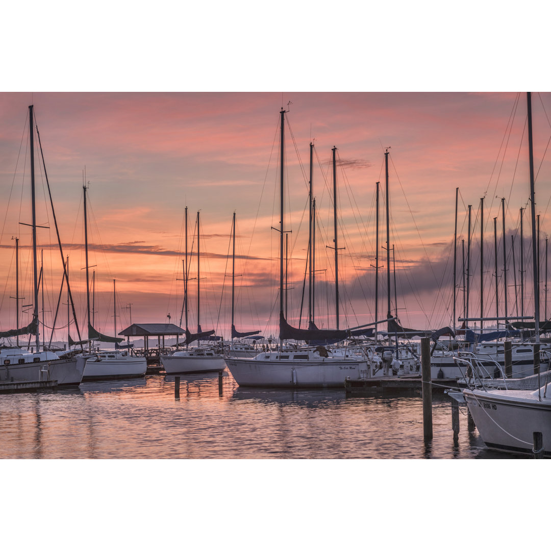 Dawning Day - Photograph