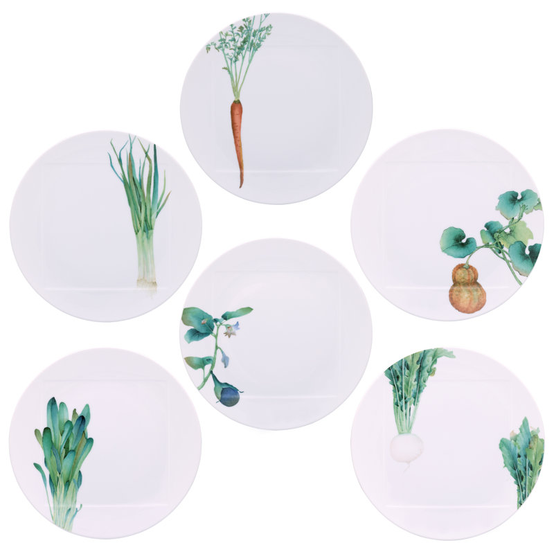 Ensemble de 6 grandes assiettes Noritake Kyoka Shunsai, 10,5 po