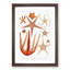 Starfish Illustrations by Albert I - Picture Frame Graphic Art Print-55615931-55615932