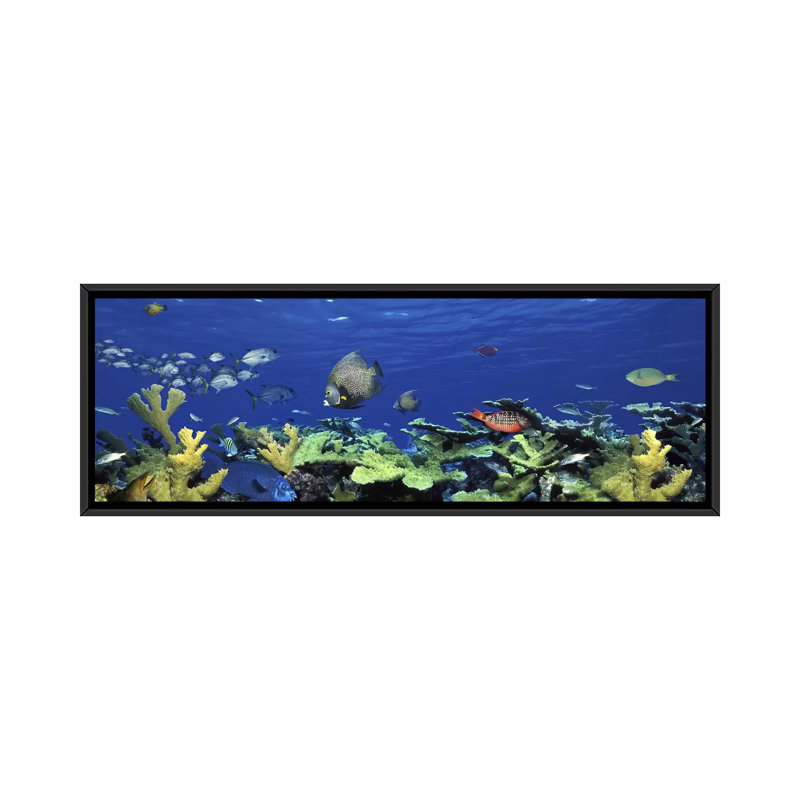 «School of Fish Natation in the Sea, Digital Composite», reproduction de photo sur toile tendue, H 20 po x l 60 po x P 1,5 po