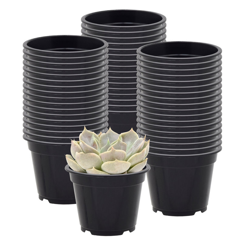 Ensemble de casseroles en plastique Kounain, 250, H 2,38 po x l 3,13 po x P 3,13 po