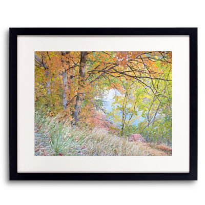 Quiet Autumn Portrait, Zion National Park Print by Bruce Heinemann