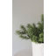 Faux Moss Branch