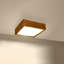 Adaysia Flush Mount-598816427-598816428