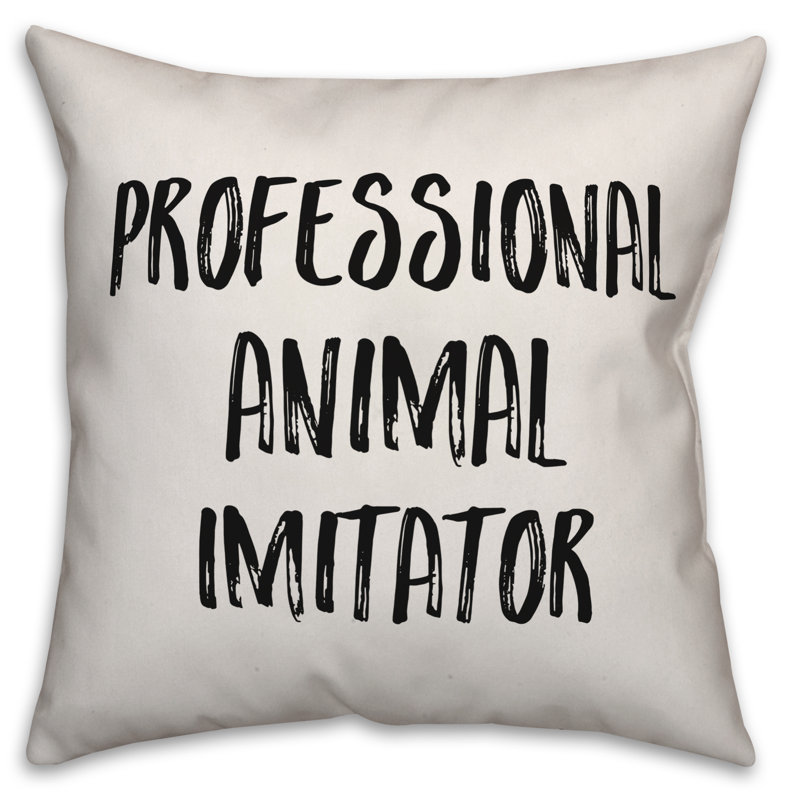 Coussin Professional Imitator, 20 po x 20 po