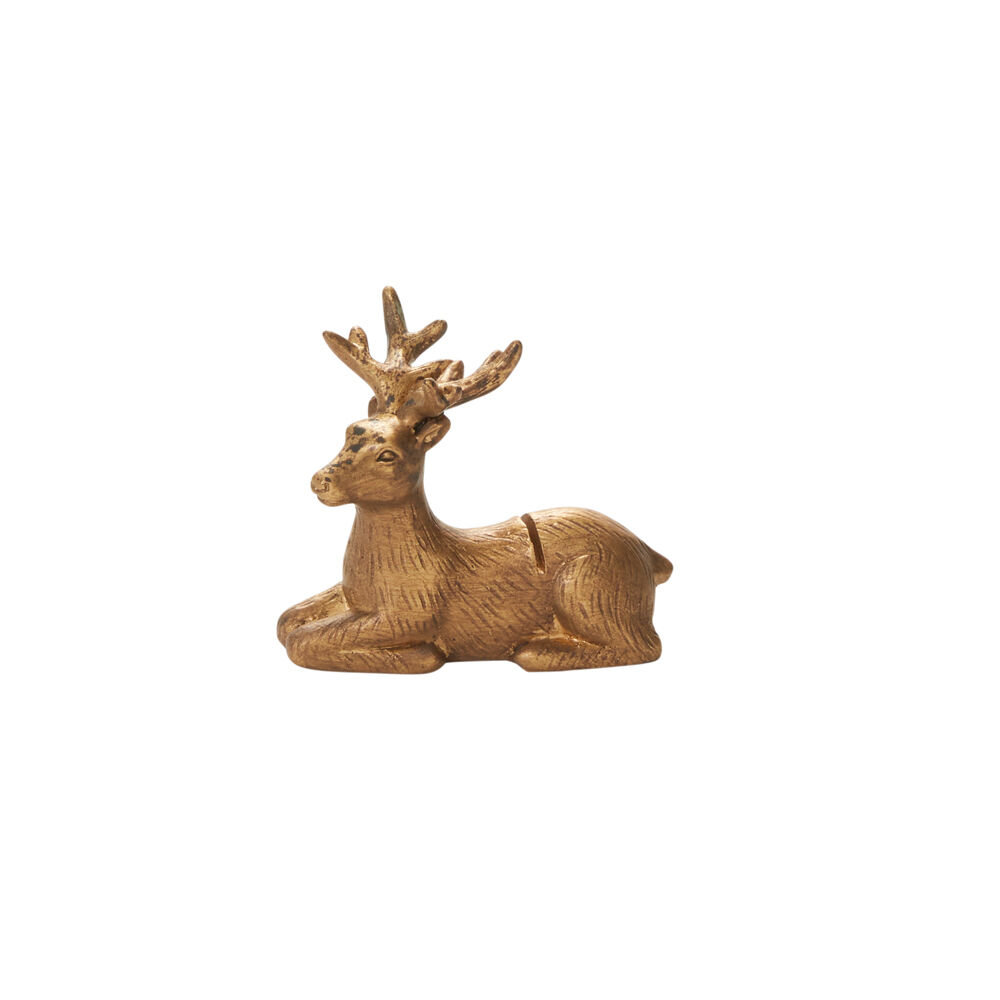 Enchanted Critter Name Card Holder, 2.25 in x 2.75 in
