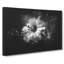 Geranium Flower - Wrapped Canvas-56647379