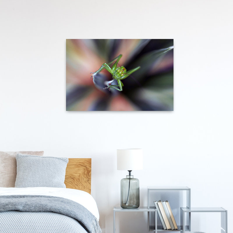 Curious Green Grasshopper Wall Art Print by Thierry Dufour - Print, 60.96cm H x 91.44cm W