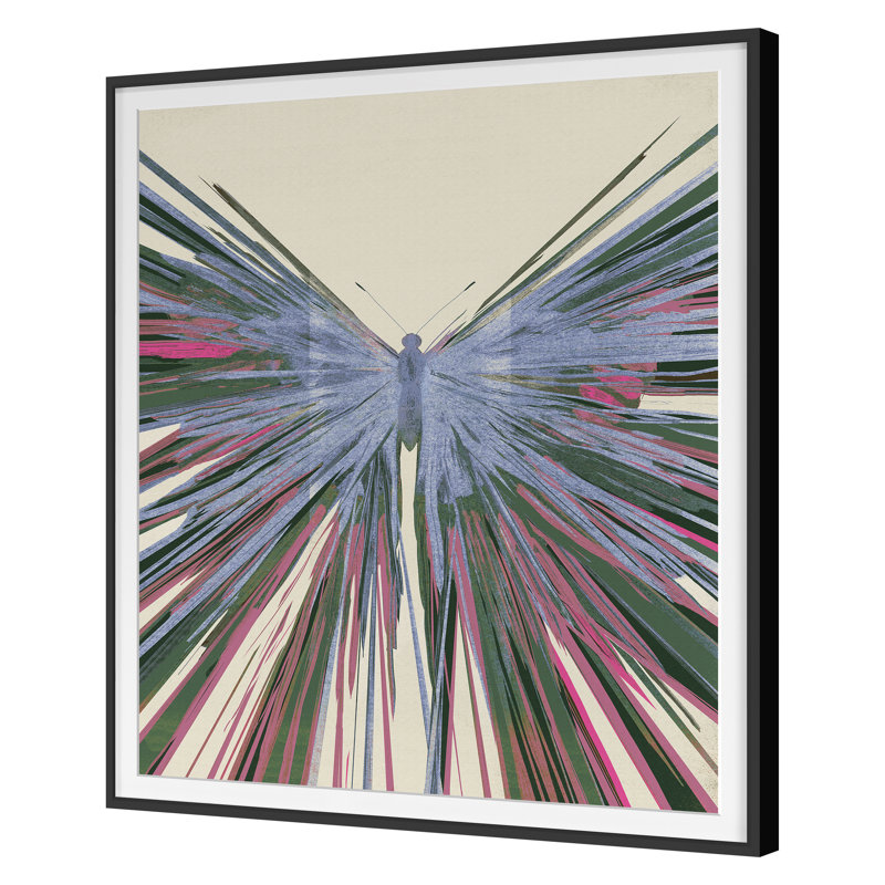 Butterfly Boom 3 Print by Todaro, Katie, 48'' H x 41'' W, Black Single Picture Framed