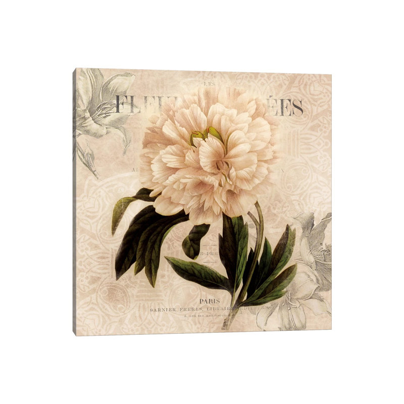 White Peony II by Carol Robinson - Painting on Canvas, Wrapped Canvas, 30.48 cm H x 30.48 cm W
