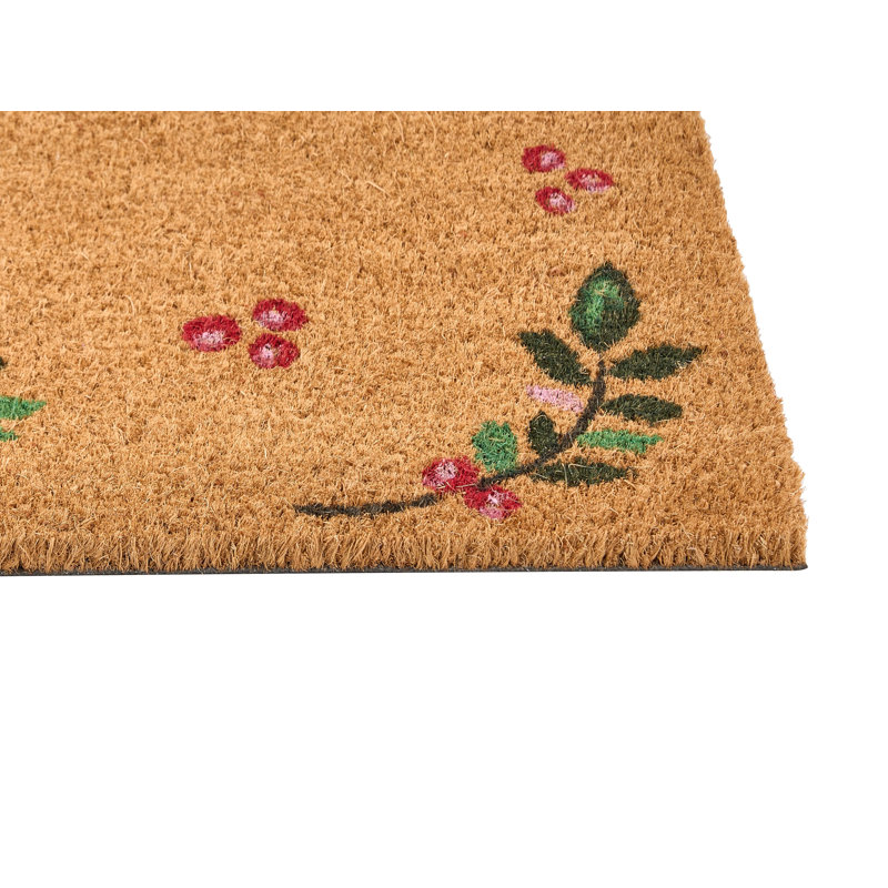 BRIVANO Non-Slip Christmas Doormat