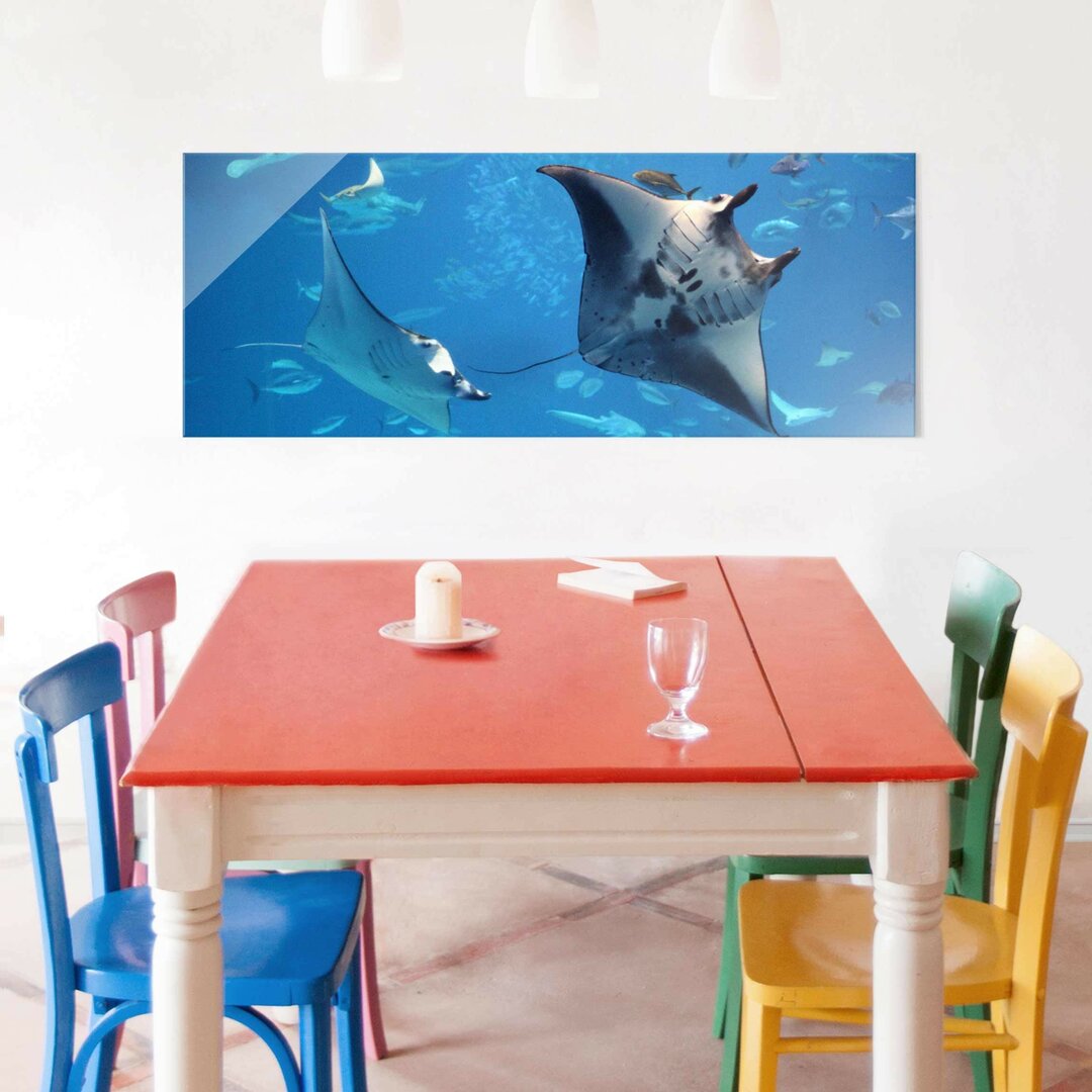 Glasbild Mantarochen Panorama