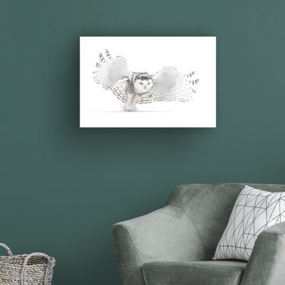 «Snowy Owl Jazz Wings» par Jim Cumming - reproduction de photo sur toile tendue