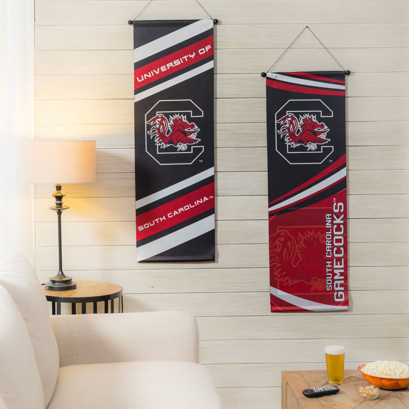 Bannière en polyester 46 po x 15 po University of Lowa, University of South Carolina